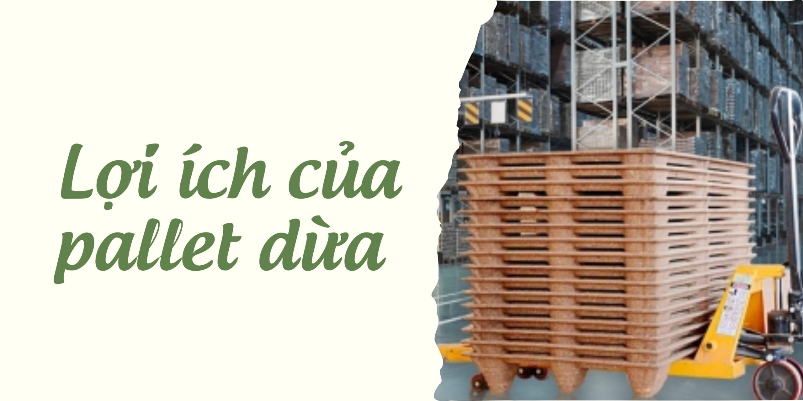 Pallet dừa xếp chồng – Lựa chọn thông minh cho kho bãi và vận tải 2 Anh bai viet SEO Trang 10 scaled
