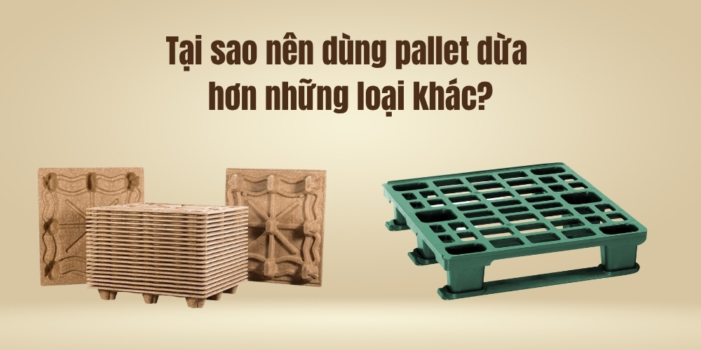Tại Sao Nên Dùng Pallet Dừa Hơn Những Loại Khác