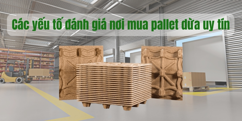 Các yêu tố đánh giá nơi mua pallet dừa uy tín