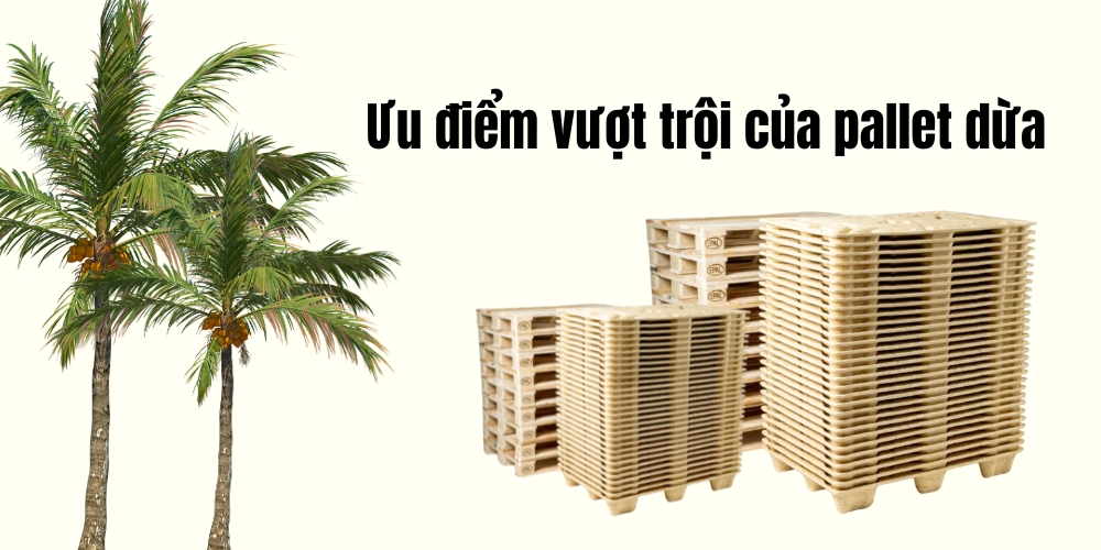 Pallet dừa dễ vận chuyển – Giải pháp tối ưu cho doanh nghiệp xuất khẩu 2 Anh bai viet SEO Trang 12