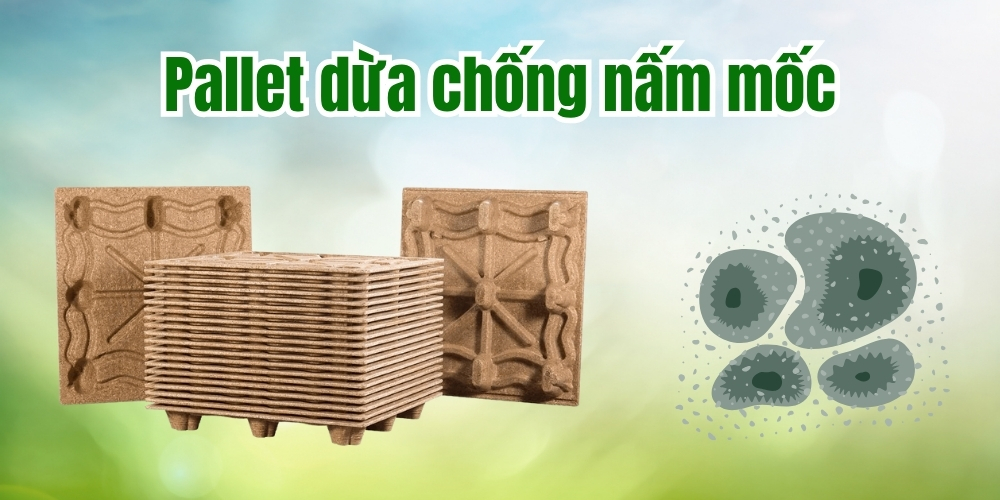 Pallet dừa chống nấm mốc