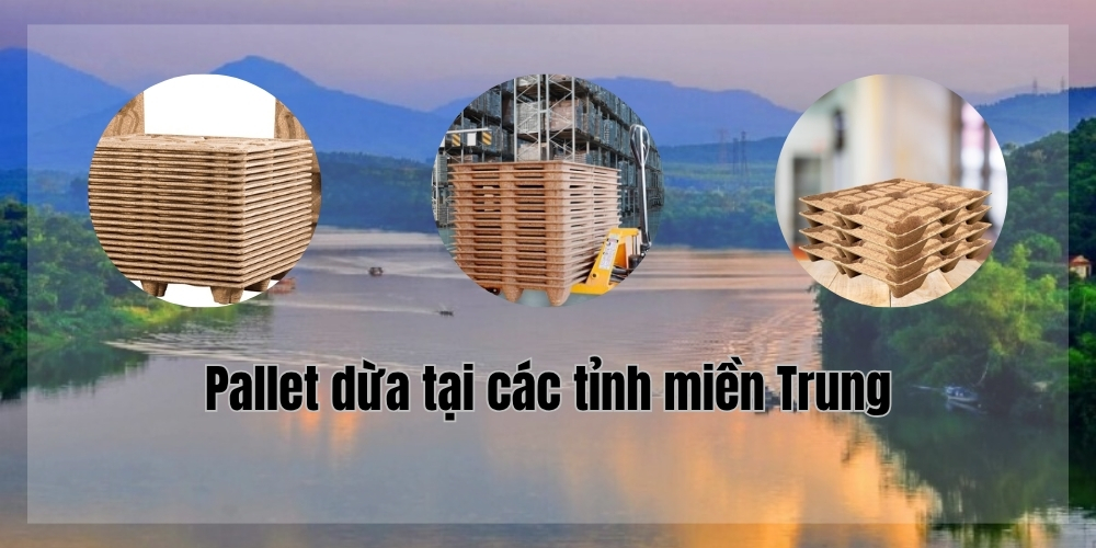 Pallet dừa tại các tỉnh miền Trung – Sự lựa chọn thông minh cho chuỗi cung ứng 1 Pallet dừa tại các tỉnh miền Trung