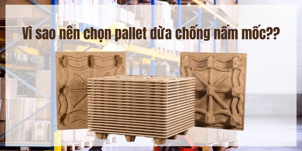 Vì sao nên chọn pallet dừa chống thấm nước?