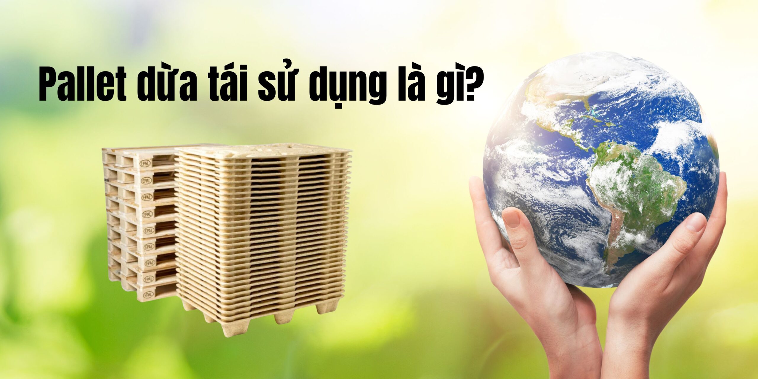 Pallet dừa tái sử dụng – Giải pháp bền vững và thân thiện với môi trường 1 Pallet dừa tái sử dụng là gì?