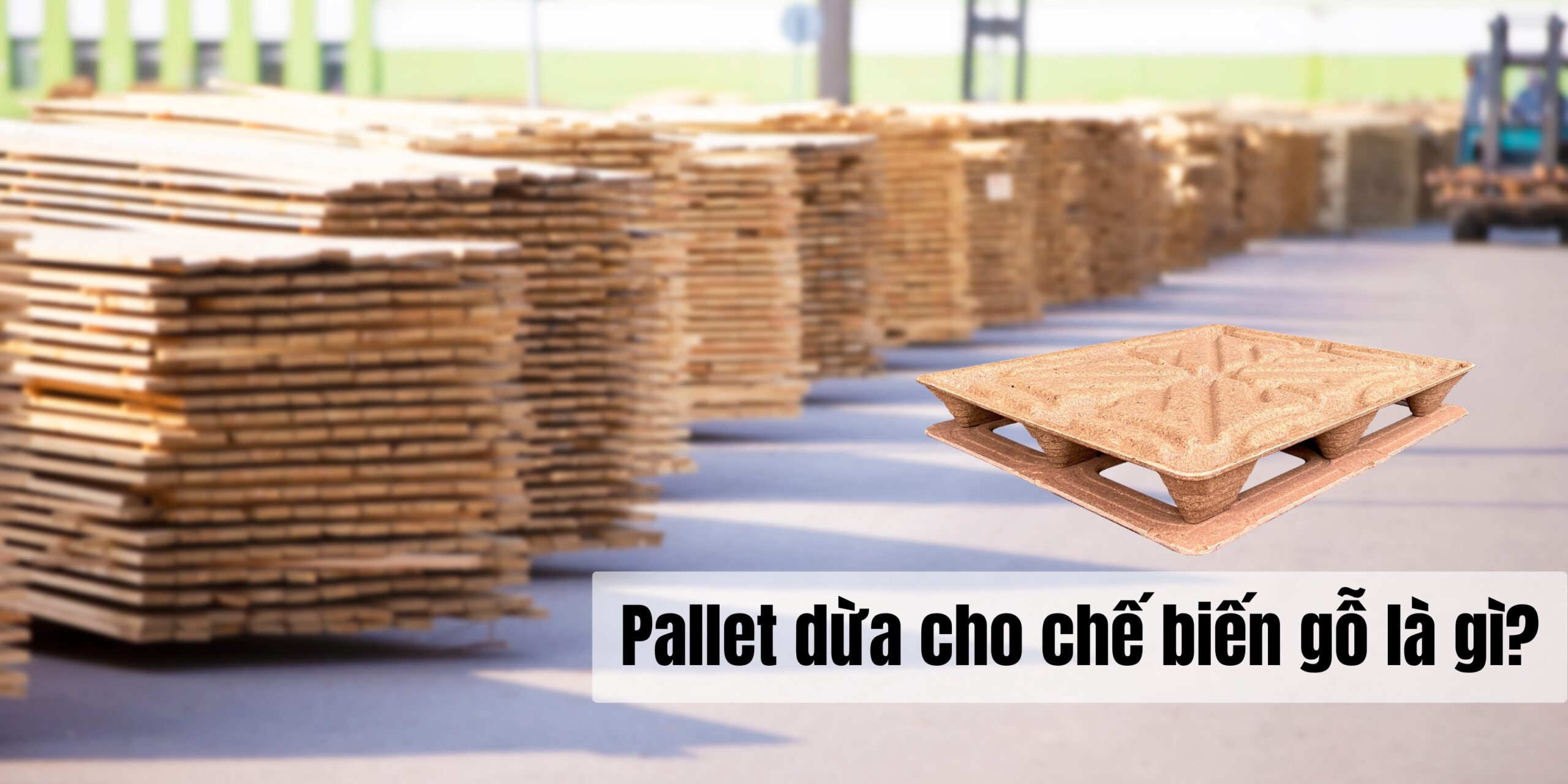 Pallet dừa cho chế biến gỗ