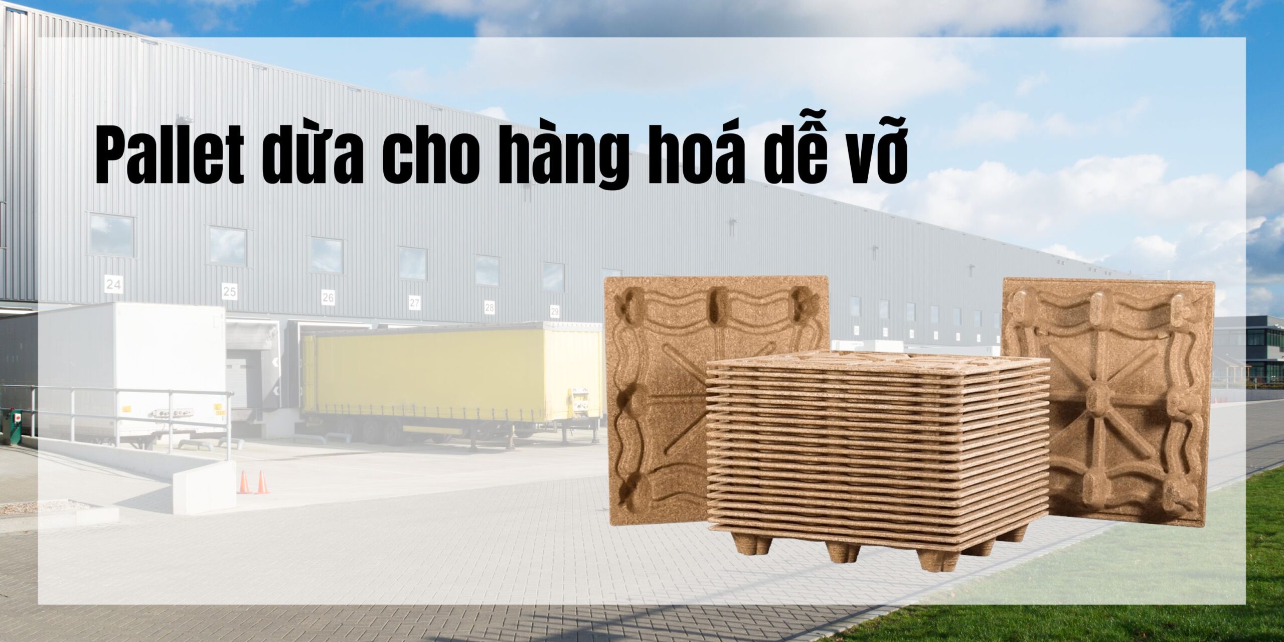 Pallet dừa cho hàng hoá dễ vỡ – Giải pháp bảo quản an toàn và bền vững 1 Pallet dừa cho hàng hoá dễ vỡ