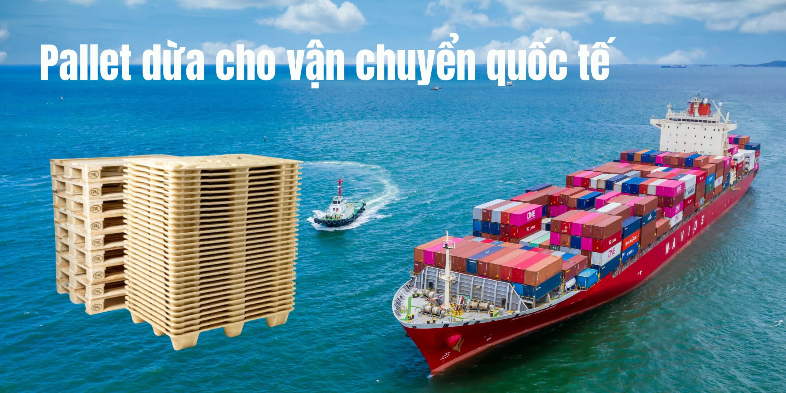 Pallet dừa cho vận chuyển quốc tế – Giải pháp bền vững và tối ưu 1 Pallet dừa cho vận chuyển quốc tế