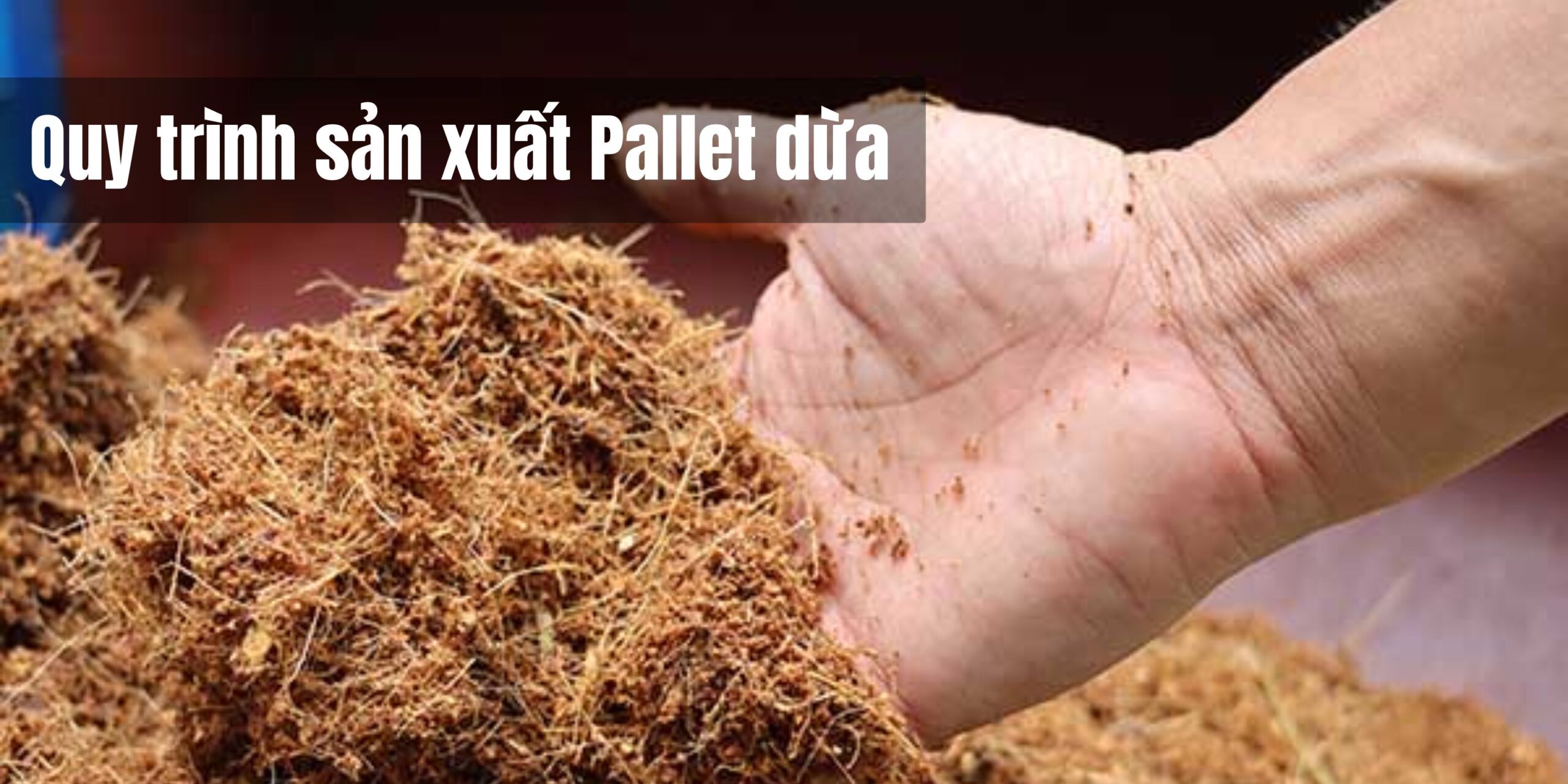 Pallet dừa cho vận chuyển quốc tế – Giải pháp bền vững và tối ưu 2 Anh bai viet SEO Trang 8 scaled