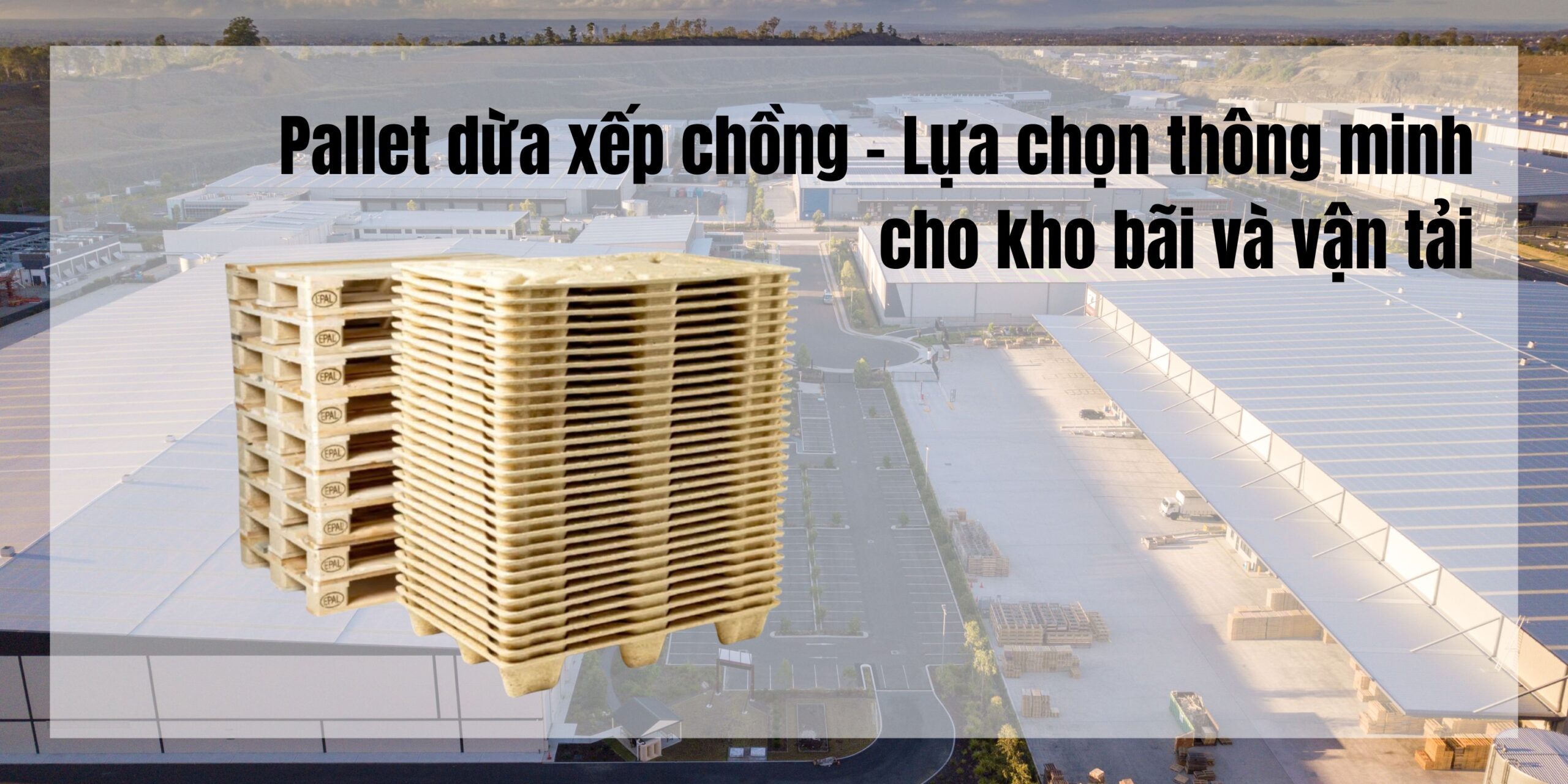 Pallet dừa xếp chồng – Lựa chọn thông minh cho kho bãi và vận tải 1 Pallet dừa xếp chồng - Lựa chọn thông minh cho kho bãi và vận tải
