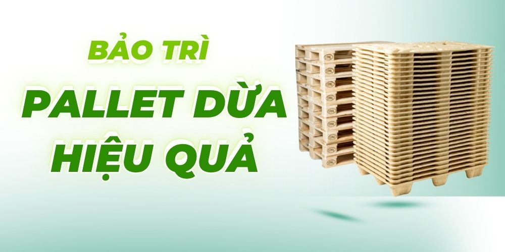 Bảo trì pallet dừa