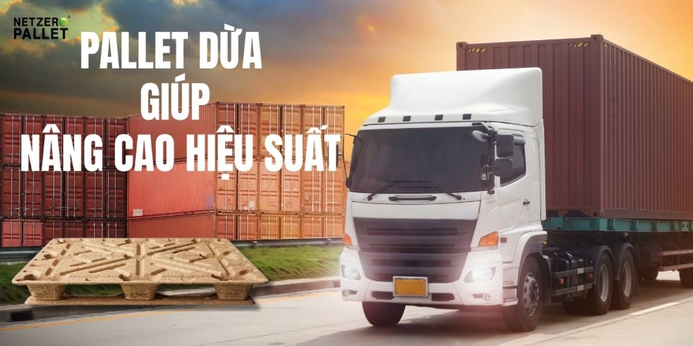 Pallet Dừa Giúp Nâng Cao Hiệu Suất - Giải Pháp Tối Ưu Cho Logistics