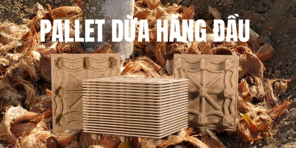 Pallet Dua Hang Dau