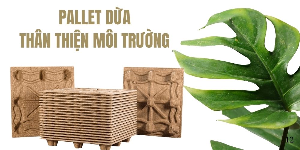 Pallet Dừa Thân Thiện Môi Trường: Giải Pháp Logistics Xanh Cho Tương Lai