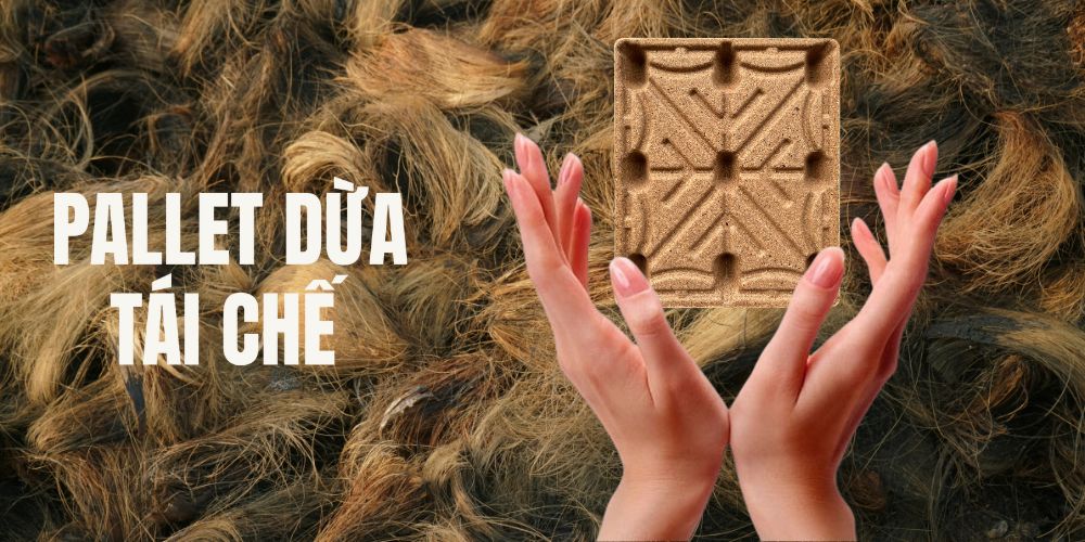 Pallet dừa an toàn sức khỏe – Giải pháp vận tải bền vững và thân thiện với con người 1 Pallet dừa an toàn sức khỏe