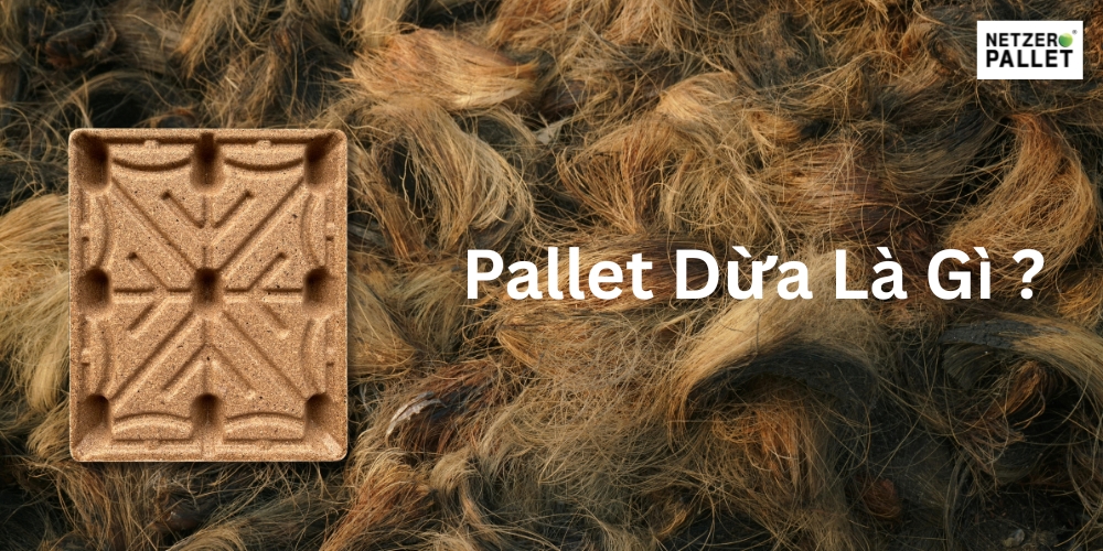 Pallet dừa giảm ô nhiễm – Giải pháp vận tải bền vững cho doanh nghiệp 1 Pallet Dừa Là Gì?