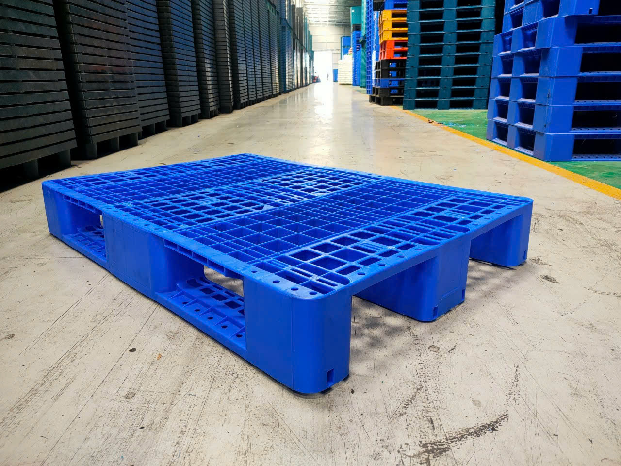 Pallet nhựa