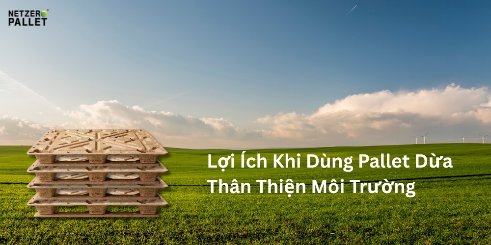 Pallet dừa an toàn sức khỏe – Giải pháp vận tải bền vững và thân thiện với con người 3 qua tang xanh moi truong la gi