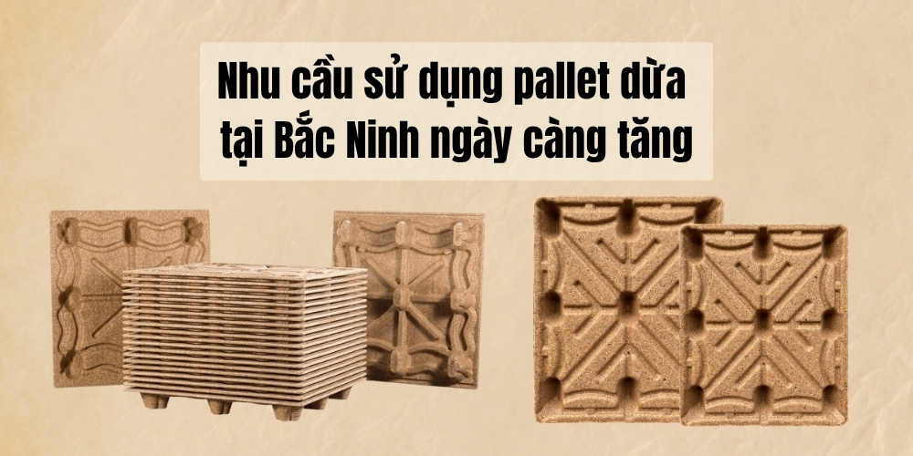 Pallet dừa tại Bắc Ninh – Hướng đi mới cho logistics xanh 2 Nhu cầu sử dụng pallet dừa tại Bắc Ninh