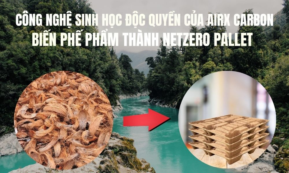 Công Nghệ Sinh Học Độc Quyền Của AirX Carbon Biến Phế Phẩm Thành NetZero Pallet