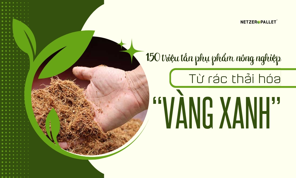 Từ rác thải hóa 'vàng xanh'