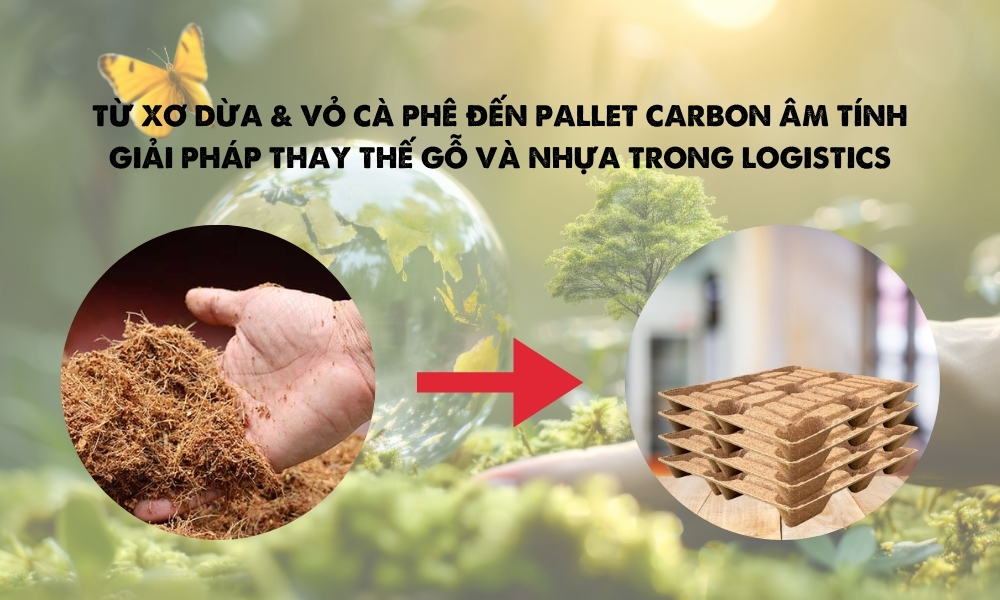 Từ xơ dừa & vỏ cà phê đến pallet carbon âm tính: Giải pháp thay thế gỗ và nhựa trong logistics