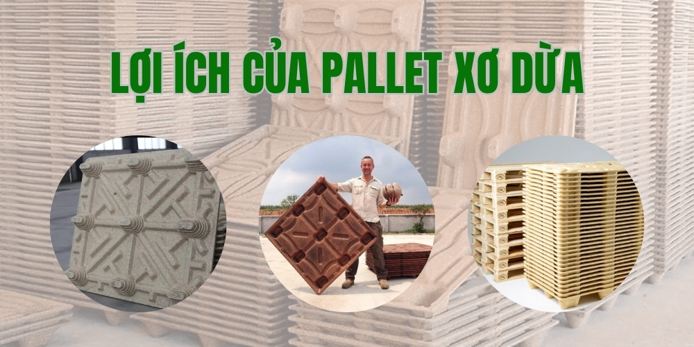 Lợi Ích Của Pallet Xơ Dừa
