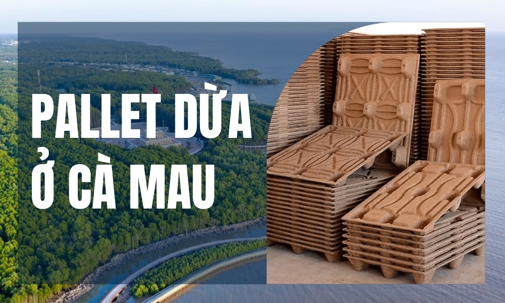 Pallet Dừa Ở Cà Mau