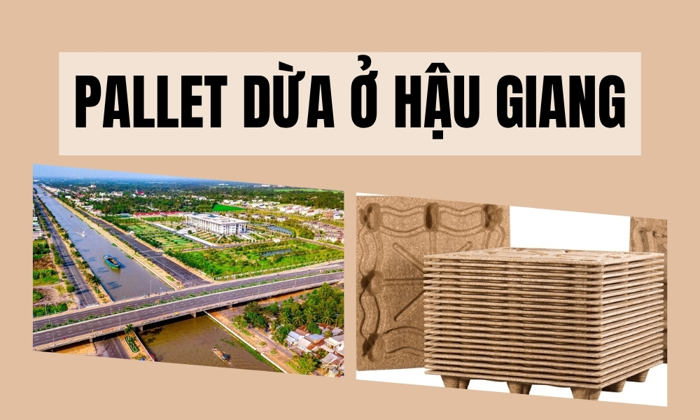 Pallet Dừa Ở Hậu Giang