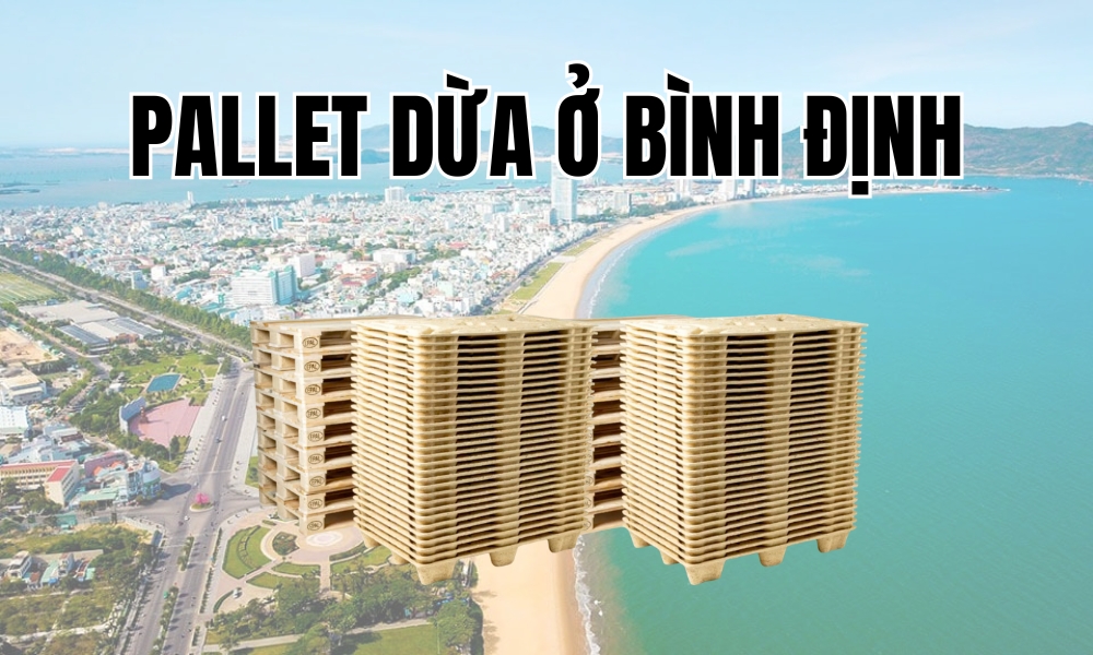 Pallet Dừa Ở Bình Định