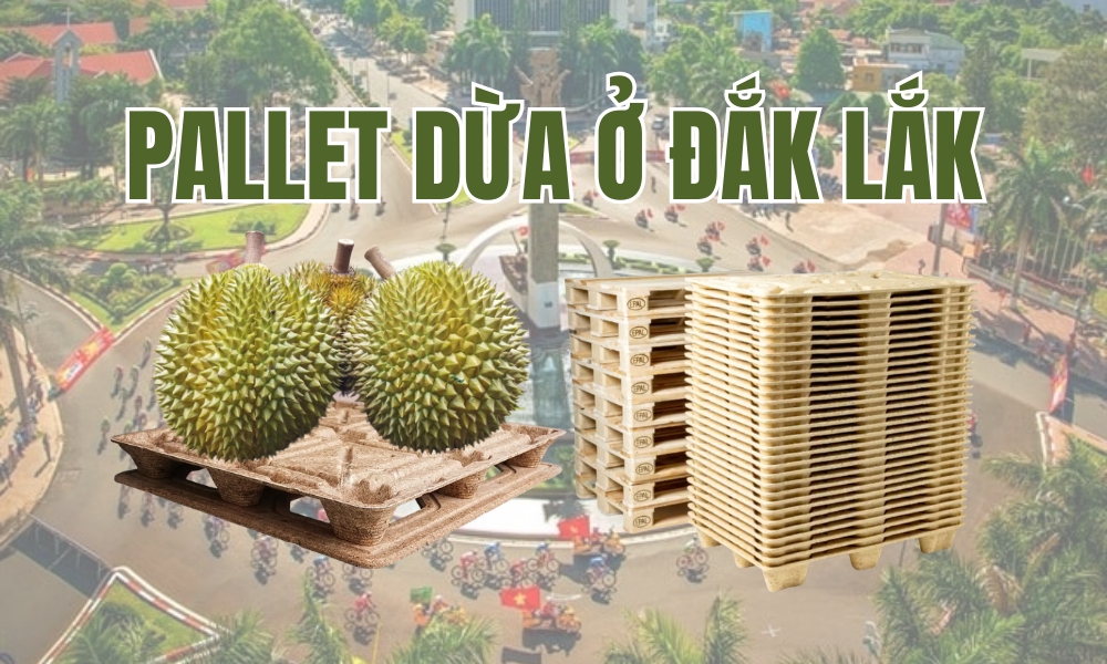 Pallet Dừa Ở Đắk Lắk