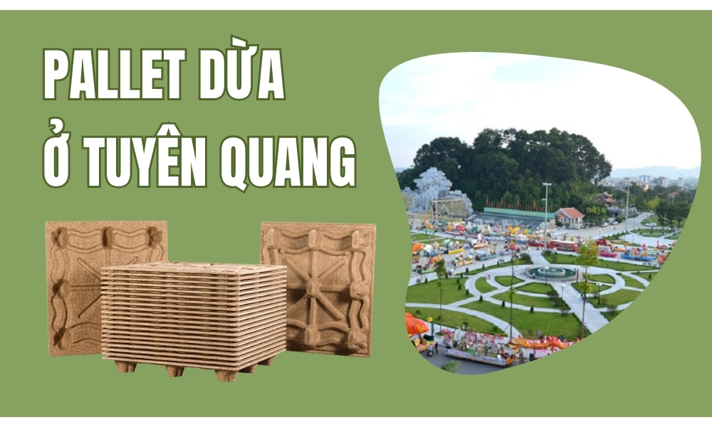 Pallet Dừa Ở Tuyên Quang