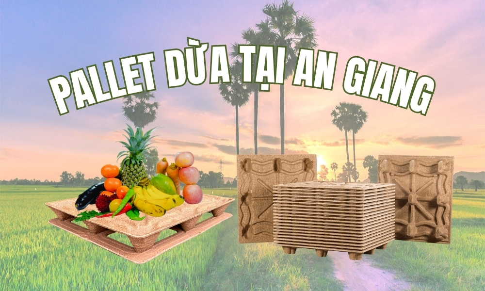 Pallet Dừa Tại An Giang