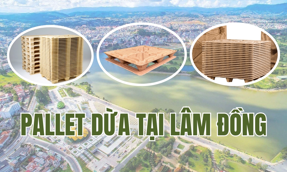 Pallet Dừa Tại Lâm Đồng