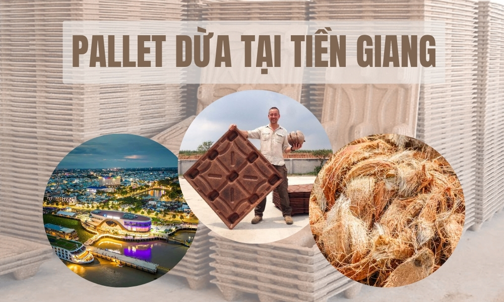 Pallet Dừa Tại Tiền Giang