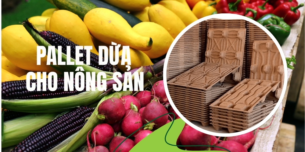 Pallet Xơ Dừa Cho Nông Sản – Tiết Kiệm Chi Phí Lưu Trữ