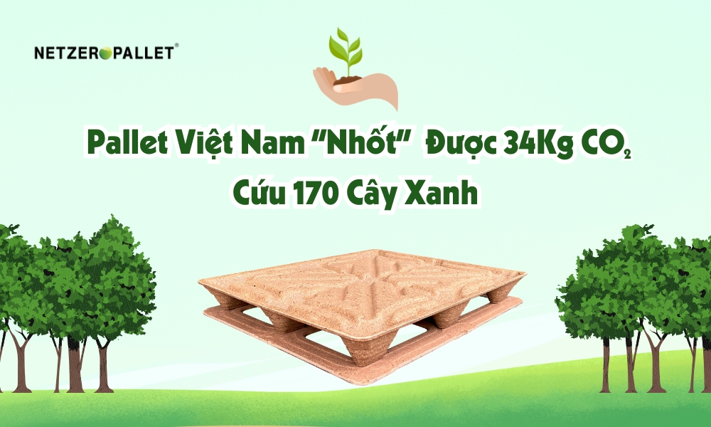 Pallet Việt Nam "nhốt" được 34Kg CO₂ cứu 170 cây xanh