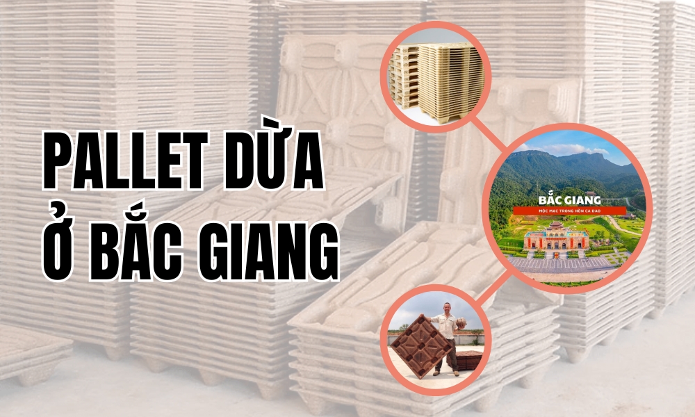 Pallet Dừa Ở Bắc Giang