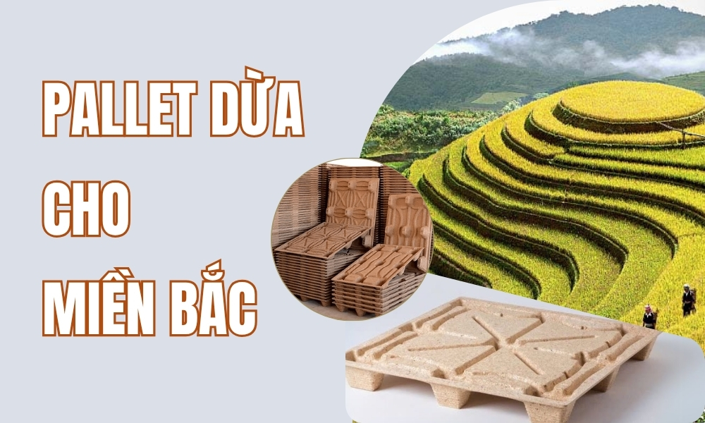 Pallet dừa cho miền bắc
