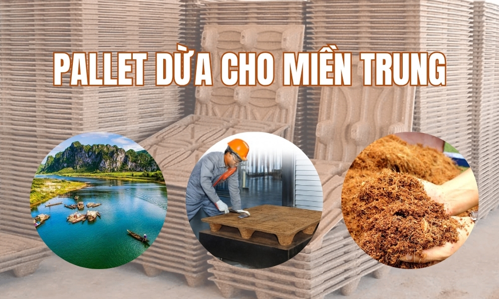 Pallet Dừa Cho Miền Trung