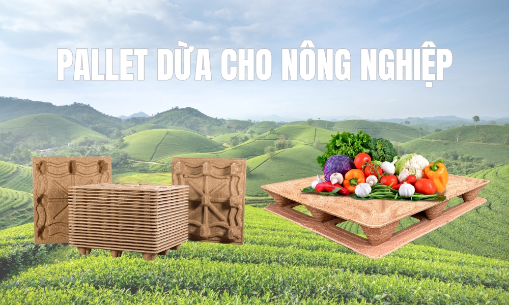 Pallet dừa cho nông nghiệp