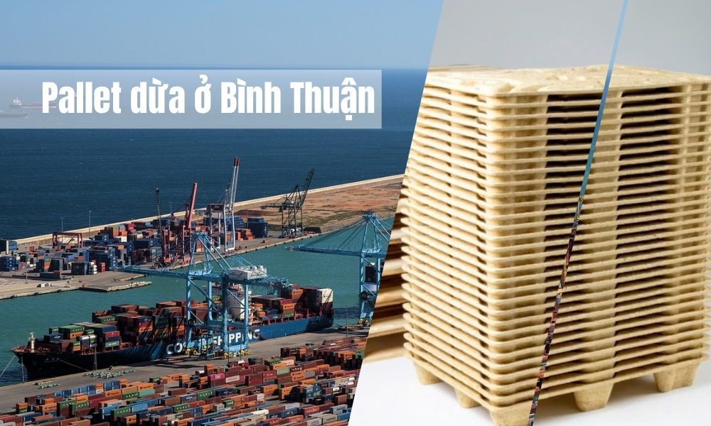 Pallet dừa ở Bình Thuận