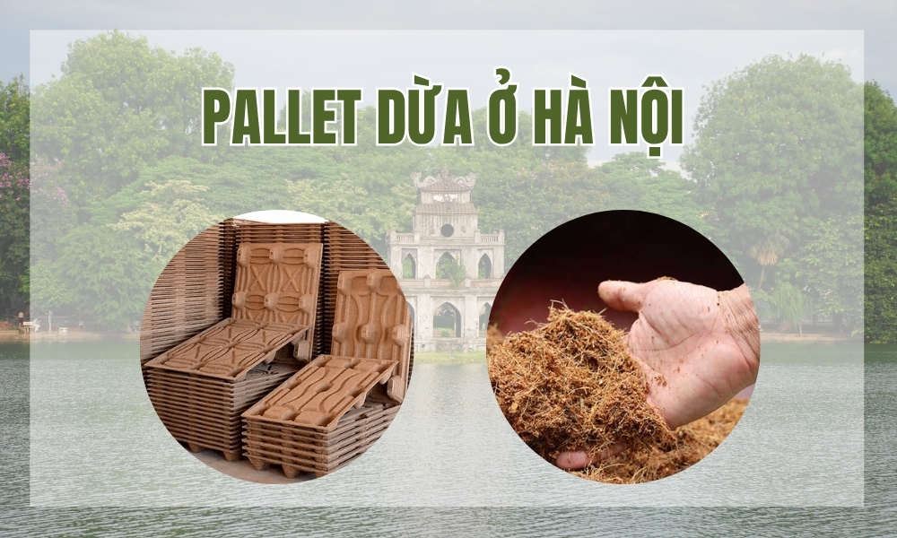 Pallet dừa ở Hà Nội