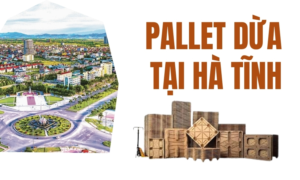Pallet Dừa Ở Hà Tĩnh