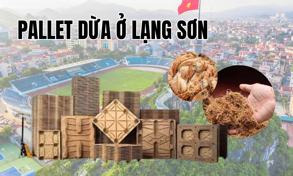Pallet Dừa Ở Lạng Sơn