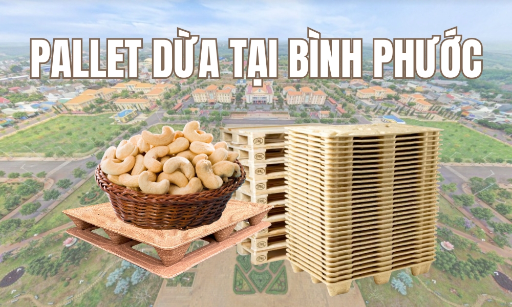 Pallet dừa tại Bình Phước