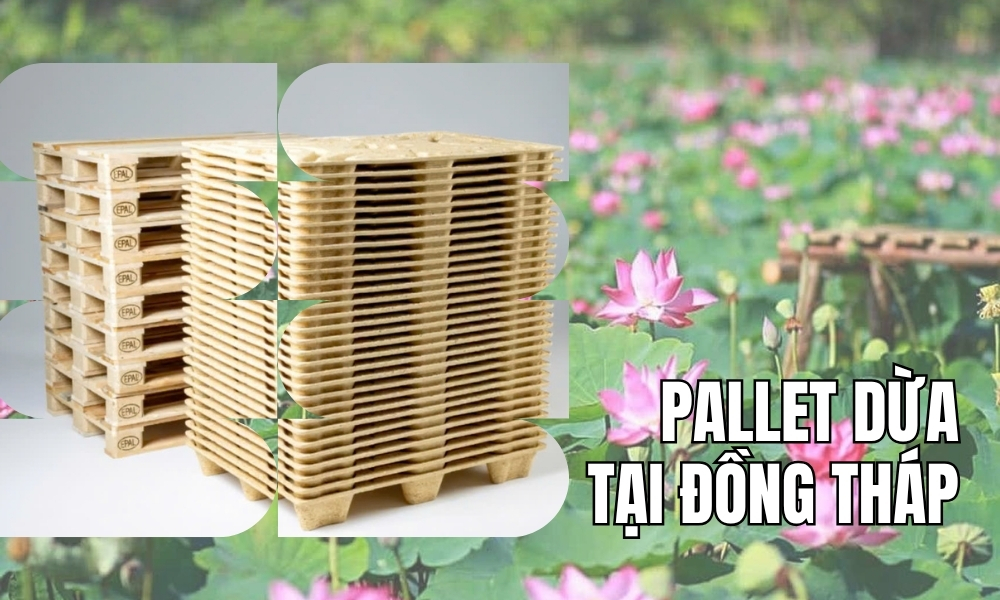 Pallet dừa tại Đồng Tháp
