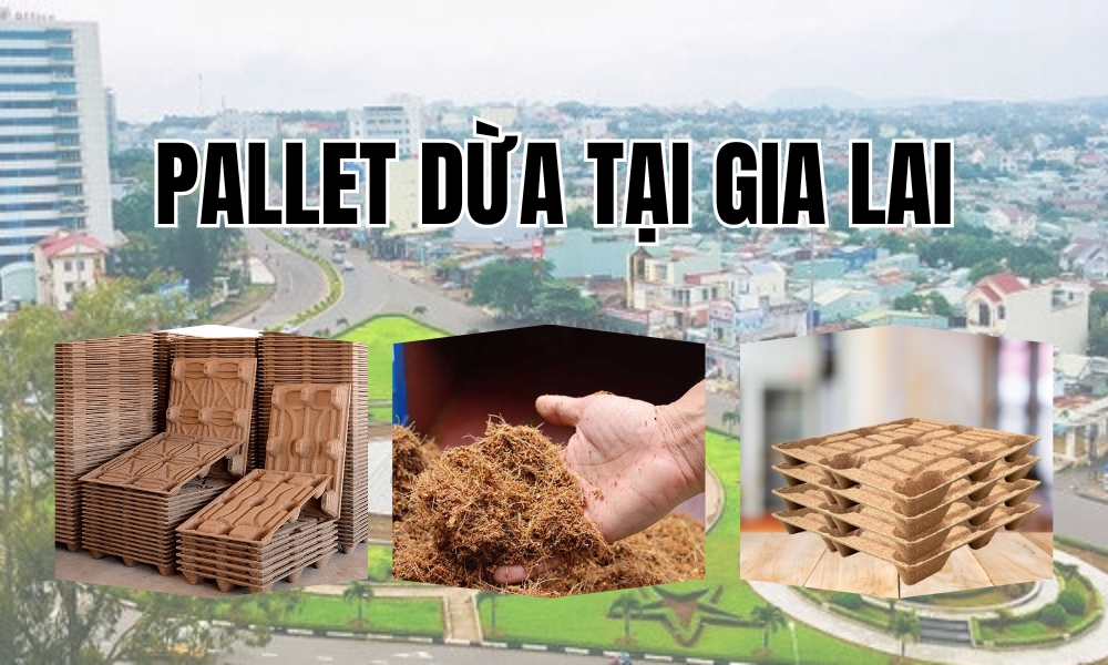 Pallet Dừa Tại Gia Lai