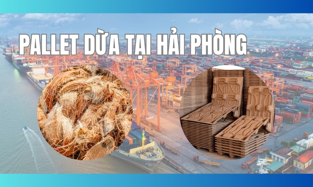 Pallet dừa tại Hải Phòng