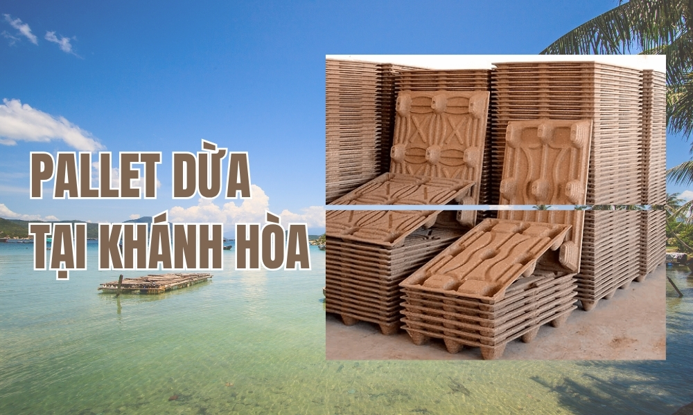 Pallet Dừa Tại Khánh Hòa