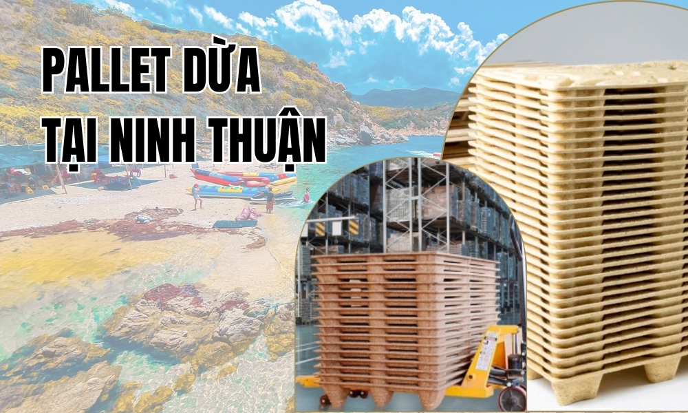 Pallet Dừa Tại Ninh Thuận